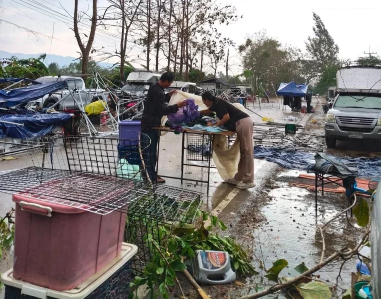 พายุฤดูร้อนถล่มพะเยา ตลาดนัด-รพ.สต. เสียหายยับเยิน