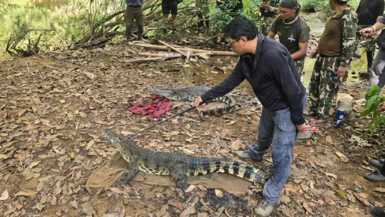 คืนถิ่นธรรมชาติ!