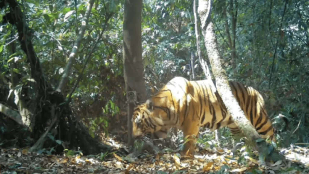 เปิดภาพสุดประทับใจ!