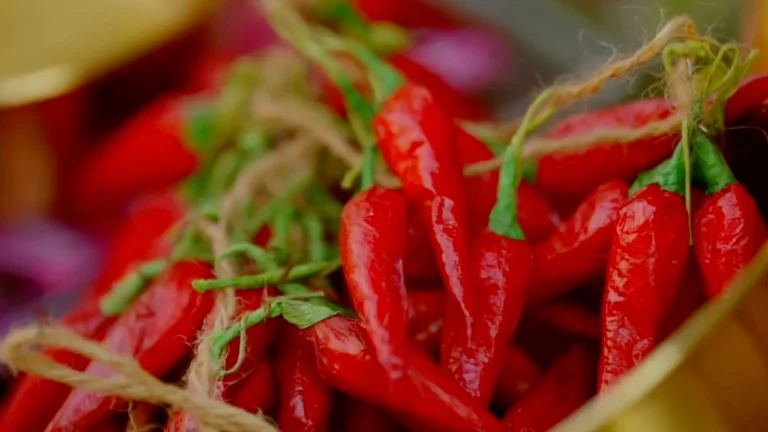 Chilli Fest 2026 เทศกาลความเผ็ดระดับโลก พร้อมแข่งกินพริกสุดโหด