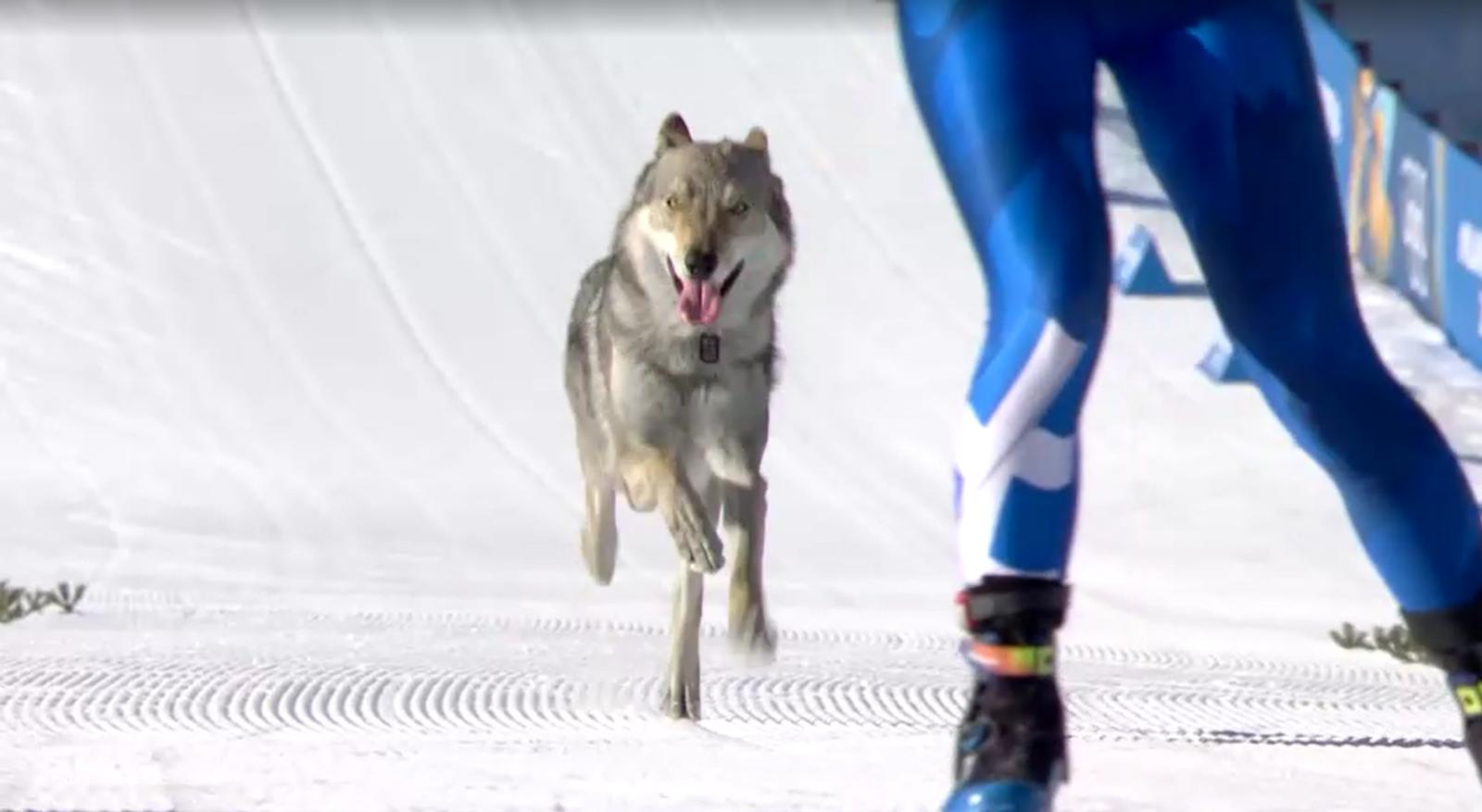 Winter Olympics 2026